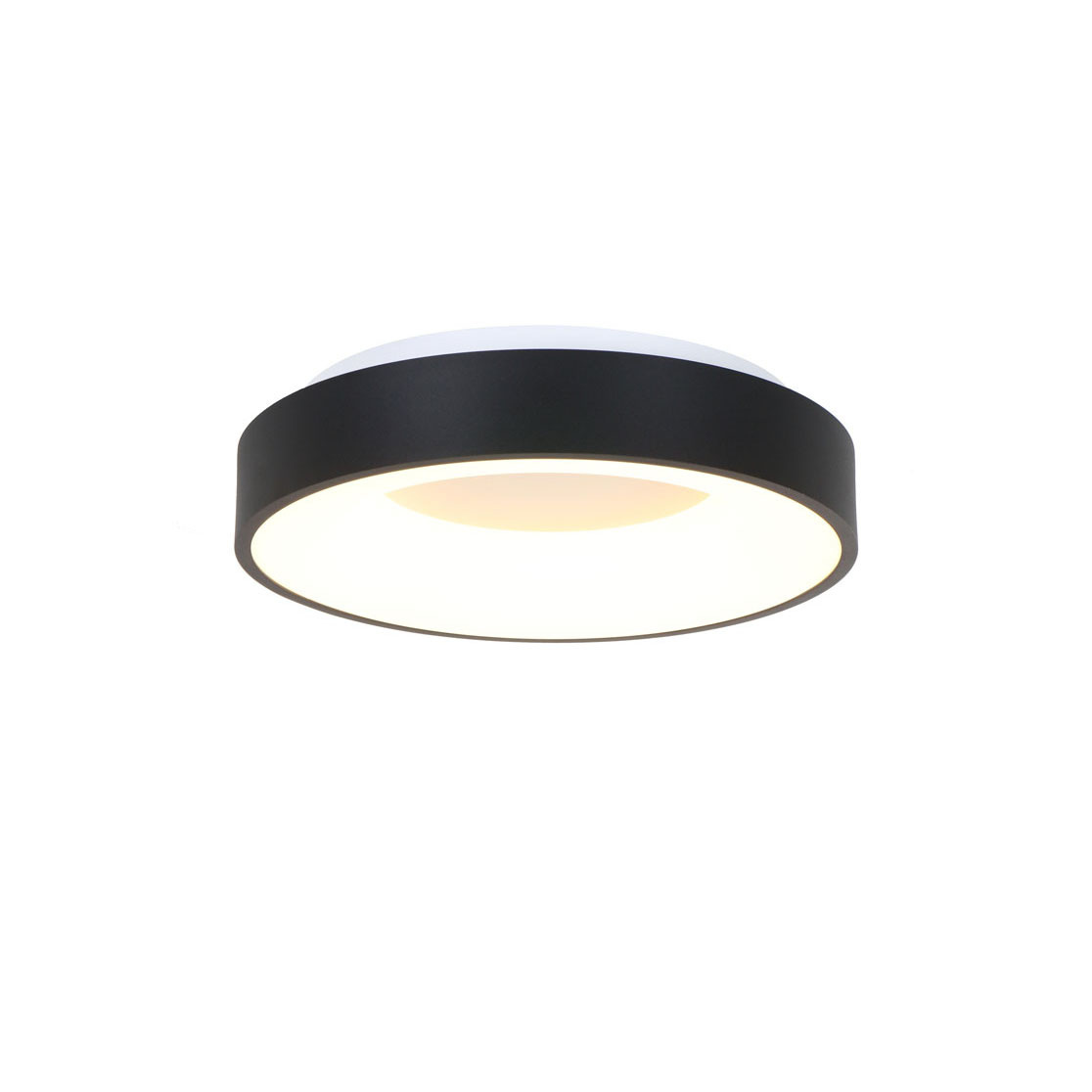 Steinhauer Plafondlamp Ringlede Ø 30 cm 3086 zwart