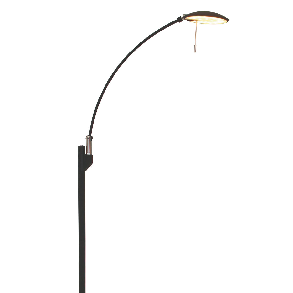 Lightning Hank Vloerlamp 1-l. Led Zwart