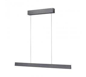 Neuhaus PURE Hanglamp e-Lift L 120 cm donker grijs Neuhaus PURE Hanglamp e-Lift L 120 cm donker grijs