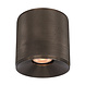 Artdelight Plafondlamp Costa Ø 10,5 cm GU10 metallic brons