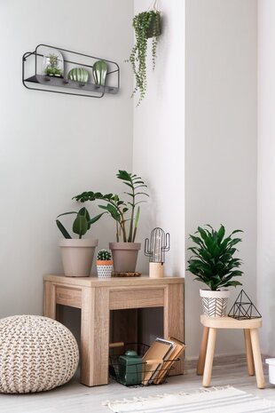 Mirrors and more Kapstok Linda 5 haken B 50 cm zwart Mirrors and more Kapstok Linda 5 haken B 50 cm zwart