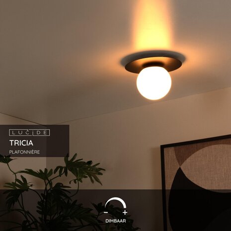 Lucide TRICIA - Plafonnière - Ø 25 cm - 1xE27 - Zwart Lucide TRICIA - Plafonnière - Ø 25 cm - 1xE27 - Zwart