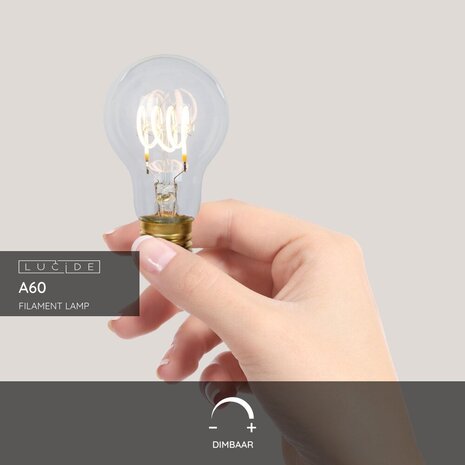 Lucide A60 - Filament lamp - Ø 6 cm - LED Dimb. - E27 - 1x4,9W 2700K - Transparant Lucide A60 - Filament lamp - Ø 6 cm - LED Dimb. - E27 - 1x4,9W 2700K - Transparant