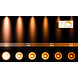Lucide MR16 - Led lamp - Ø 5 cm - LED Dim to warm - GU10 (MR16) - 1x5W 2200K/3000K - Zwart Lucide MR16 - Led lamp - Ø 5 cm - LED Dim to warm - GU10 (MR16) - 1x5W 2200K/3000K - Zwart