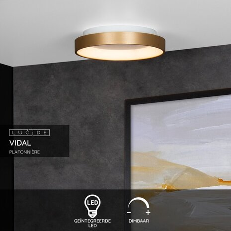 Lucide VIDAL - Plafonnière - Ø 28 cm - LED Dimb. - 1x20W 2700K - Mat Goud / Messing Lucide VIDAL - Plafonnière - Ø 28 cm - LED Dimb. - 1x20W 2700K - Mat Goud / Messing
