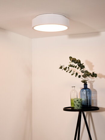 Lucide TALOWE LED - Plafonnière - Ø 30 cm - LED Dimb. - 1x20W 3000K - Wit Lucide TALOWE LED - Plafonnière - Ø 30 cm - LED Dimb. - 1x20W 3000K - Wit
