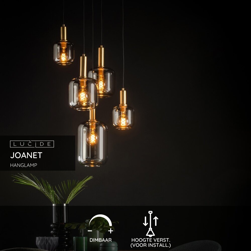 Lucide JOANET - Hanglamp - Ø 66 cm - 5xE27 - Fumé Lucide JOANET - Hanglamp - Ø 66 cm - 5xE27 - Fumé