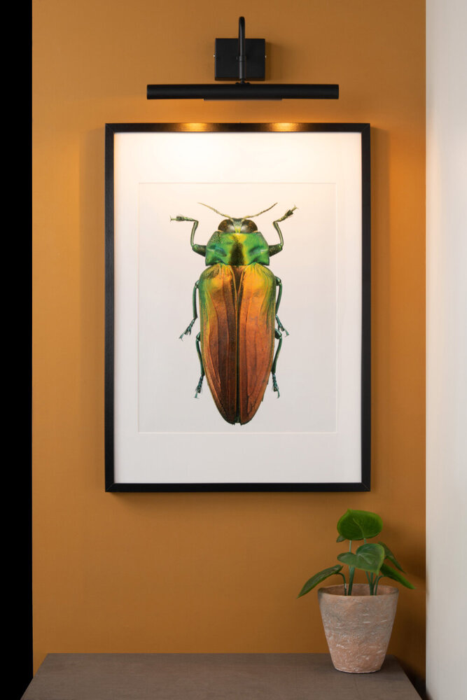 Lucide VINZ - Schilderijverlichting - 2xG9 - Zwart Lucide VINZ - Schilderijverlichting - 2xG9 - Zwart