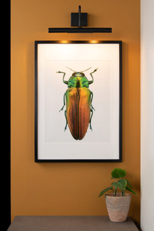 Lucide VINZ - Schilderijverlichting - 2xG9 - Zwart Lucide VINZ - Schilderijverlichting - 2xG9 - Zwart