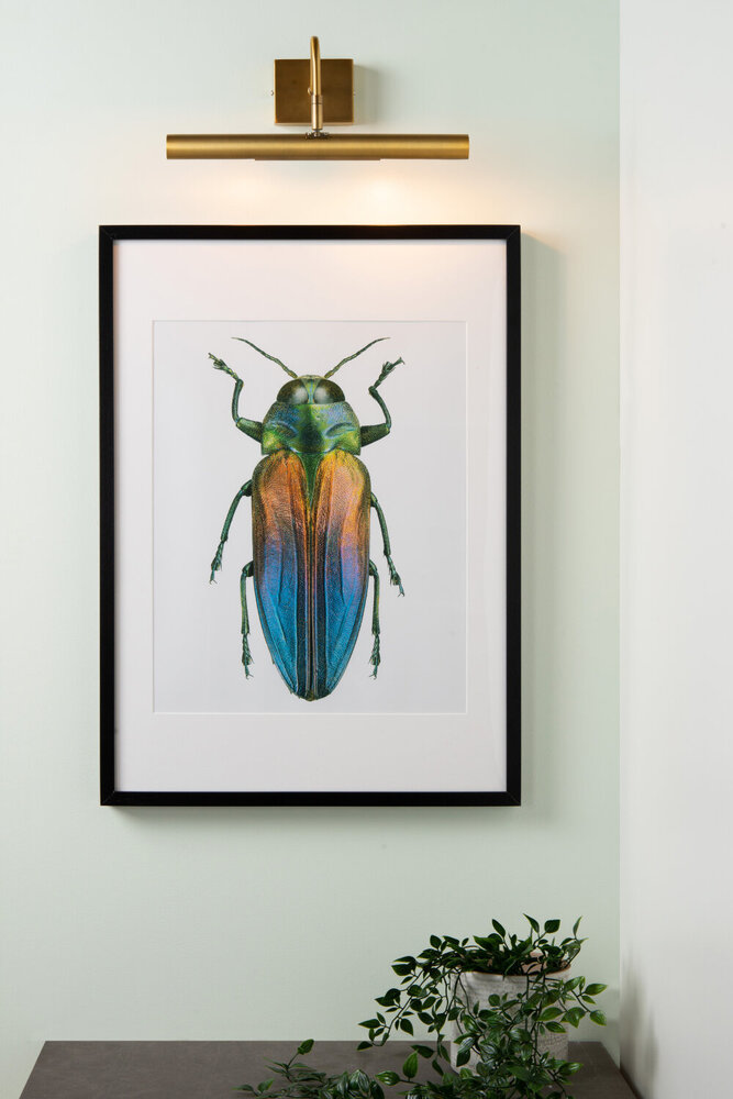 Lucide VINZ - Schilderijverlichting - 2xG9 - Mat Goud / Messing Lucide VINZ - Schilderijverlichting - 2xG9 - Mat Goud / Messing