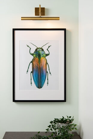 Lucide VINZ - Schilderijverlichting - 2xG9 - Mat Goud / Messing Lucide VINZ - Schilderijverlichting - 2xG9 - Mat Goud / Messing