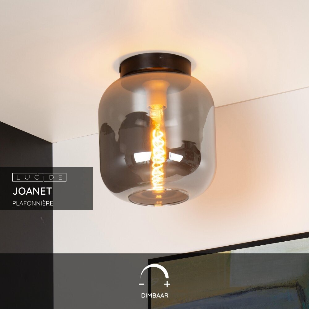 Lucide JOANET - Plafonnière - Ø 25 cm - 1xE27 - Fumé
