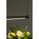 Lucide MARNIK - Hanglamp - Ø 2,5 cm - LED Dimb. - CCT - 1x22W 2700K/4000K - Handbewegingssensor - Zwart | Premium Lucide MARNIK - Hanglamp - Ø 2,5 cm - LED Dimb. - CCT - 1x22W 2700K/4000K - Handbewegingssensor - Zwart | Premium