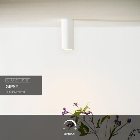 Lucide GIPSY - Plafondspot - Ø 7 cm - 1xGU10 (MR16) - Wit