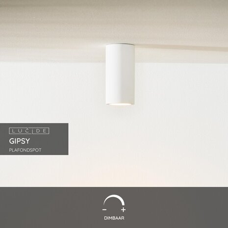 Lucide GIPSY - Plafondspot - Ø 7 cm - 1xGU10 (MR16) - Wit Lucide GIPSY - Plafondspot - Ø 7 cm - 1xGU10 (MR16) - Wit