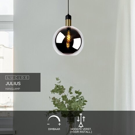 Lucide JULIUS - Hanglamp - Ø 28 cm - 1xE27 - Fumé