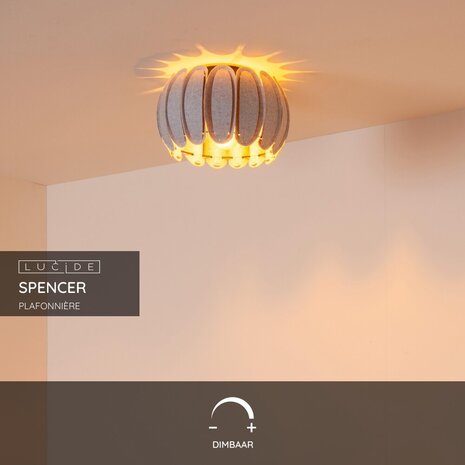 Lucide SPENCER - Plafonnière - Ø 30 cm - 1xE27 - Grijs Lucide SPENCER - Plafonnière - Ø 30 cm - 1xE27 - Grijs
