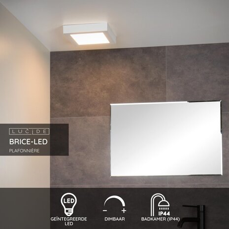 Lucide BRICE-LED - Plafonnière Badkamer - LED Dimb. - 1x22W 3000K - IP44 - Wit Lucide BRICE-LED - Plafonnière Badkamer - LED Dimb. - 1x22W 3000K - IP44 - Wit