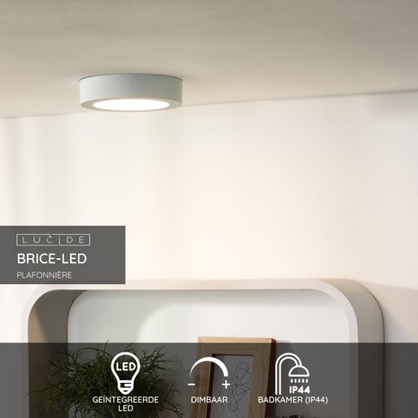 Lucide BRICE-LED - Plafonnière Badkamer - Ø 18 cm - LED Dimb. - 1x12W 3000K - IP44 - Wit Lucide BRICE-LED - Plafonnière Badkamer - Ø 18 cm - LED Dimb. - 1x12W 3000K - IP44 - Wit