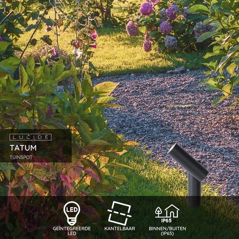 Lucide TATUM - Tuinspot - LED - 1x4,5W 3000K - IP65 - Antraciet