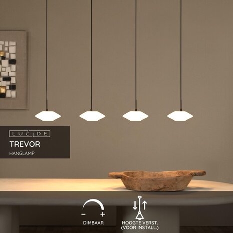 Lucide TREVOR - Hanglamp - 4xG9 - Opaal Lucide TREVOR - Hanglamp - 4xG9 - Opaal