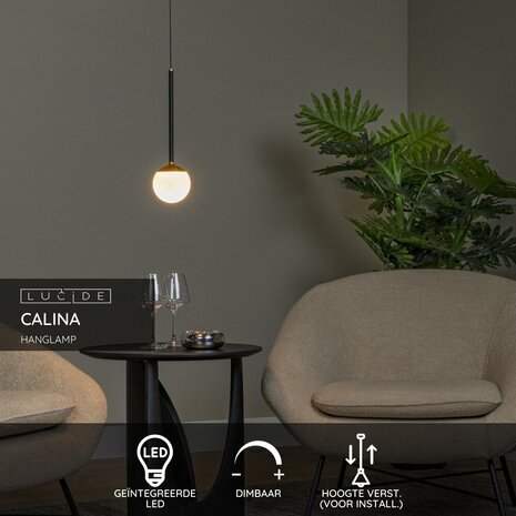 Lucide CALINA - Hanglamp - Ø 9,9 cm - LED Dimb. - 1x9W 2700K - Zwart | Premium