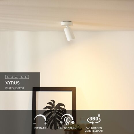 Lucide XYRUS - Plafondspot - Ø 9 cm - LED Dim to warm - GU10 - 1x5W 2200K/3000K - Wit Lucide XYRUS - Plafondspot - Ø 9 cm - LED Dim to warm - GU10 - 1x5W 2200K/3000K - Wit