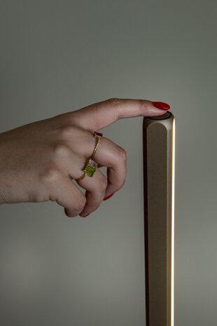 Lucide BRAGA - Vloerlamp - Ø 30 cm - LED Dimb. - CCT - 1x22W 2700K/4000K - Koffie | Premium Lucide BRAGA - Vloerlamp - Ø 30 cm - LED Dimb. - CCT - 1x22W 2700K/4000K - Koffie | Premium