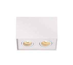 Lucide TUBE - Plafondspot - 2xGU10 - Wit Lucide TUBE - Plafondspot - 2xGU10 - Wit