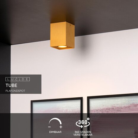 Lucide TUBE - Plafondspot - 1xGU10 - Mat Goud / Messing Lucide TUBE - Plafondspot - 1xGU10 - Mat Goud / Messing