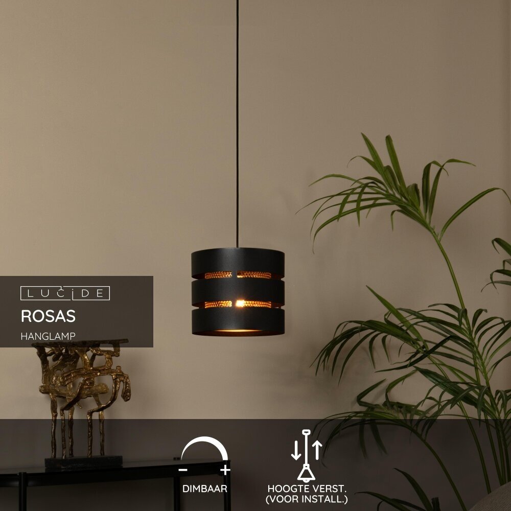 Lucide ROSAS - Hanglamp - Ø 26 cm - 1xE27 - Zwart Lucide ROSAS - Hanglamp - Ø 26 cm - 1xE27 - Zwart