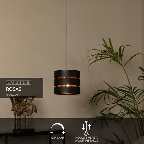 Lucide ROSAS - Hanglamp - Ø 26 cm - 1xE27 - Zwart Lucide ROSAS - Hanglamp - Ø 26 cm - 1xE27 - Zwart