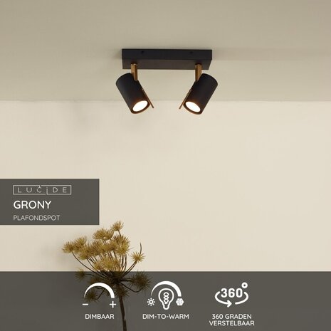 Lucide GRONY - Plafondspot - LED Dim to warm - GU10 - 2x5W 2200K/3000K - Zwart