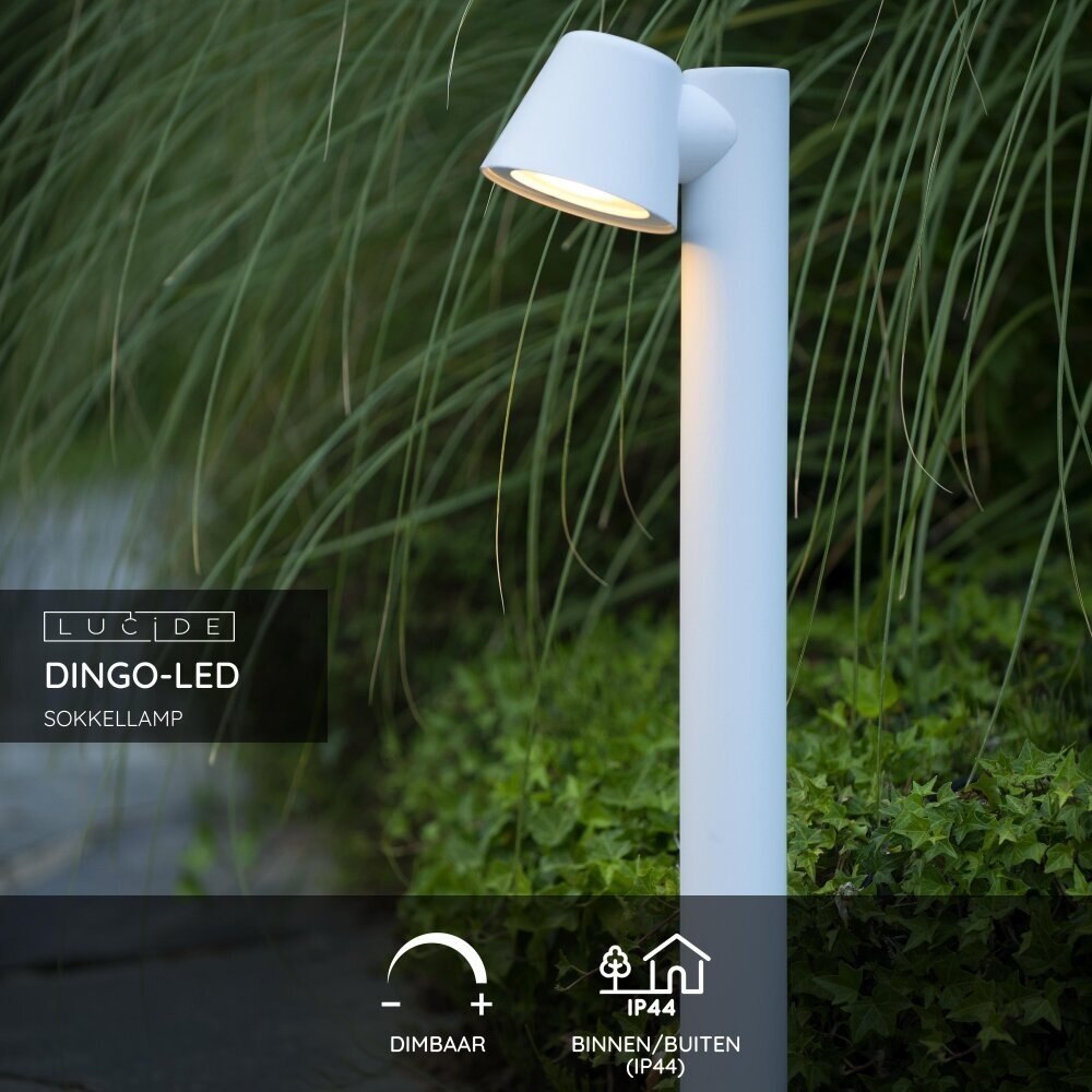 Lucide DINGO-LED - Sokkellamp - LED Dimb. - GU10 - 1x5W 3000K - IP44 - Wit Lucide DINGO-LED - Sokkellamp - LED Dimb. - GU10 - 1x5W 3000K - IP44 - Wit