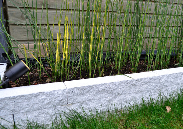 Lucide ARNE-LED - Tuinspot - Ø 6,3 cm - LED - GU10 - 1x5W 2700K - IP44 - Zwart