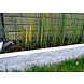 Lucide ARNE-LED - Tuinspot - Ø 6,3 cm - LED - GU10 (MR16) - 1x5W 2700K - IP44 - Zwart