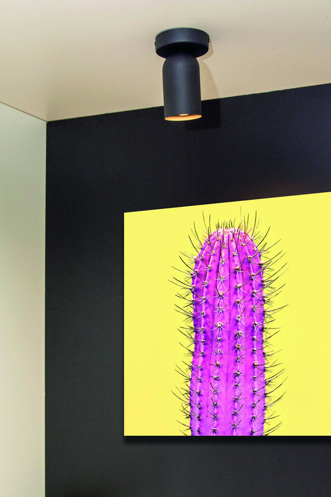 Lucide PUNCH - Plafondspot - 1xGU10 - Zwart Lucide PUNCH - Plafondspot - 1xGU10 - Zwart