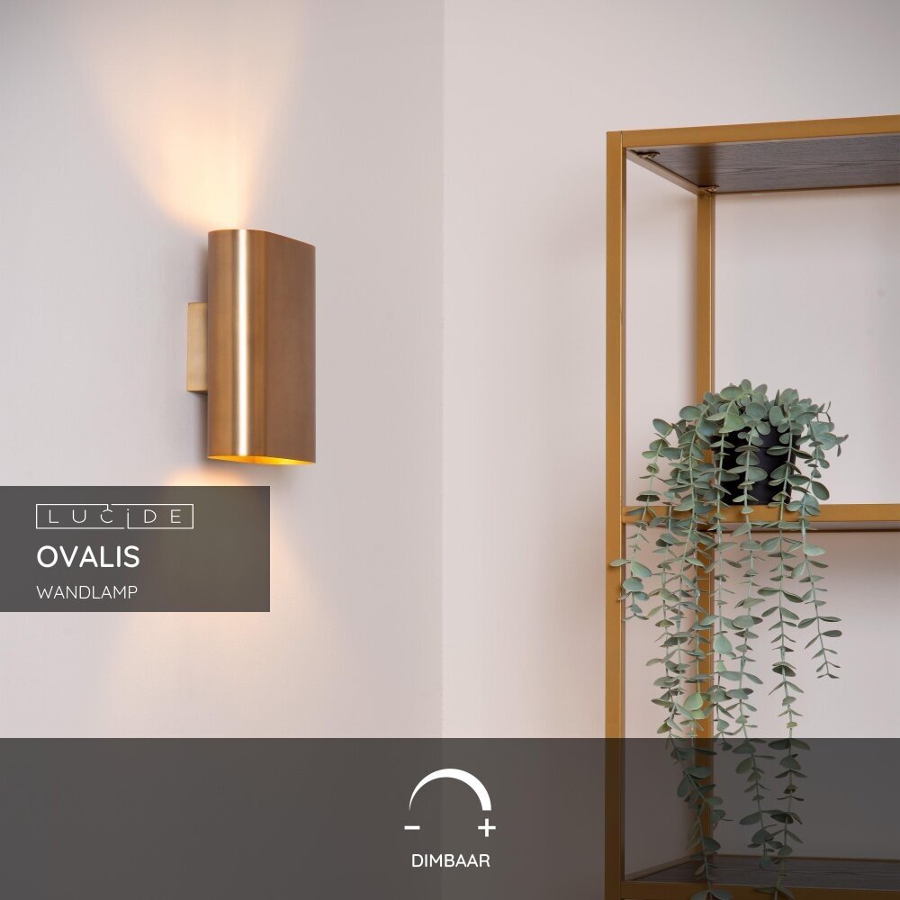 Lucide OVALIS - Wandlamp - 2xE14 - Mat Goud / Messing Lucide OVALIS - Wandlamp - 2xE14 - Mat Goud / Messing