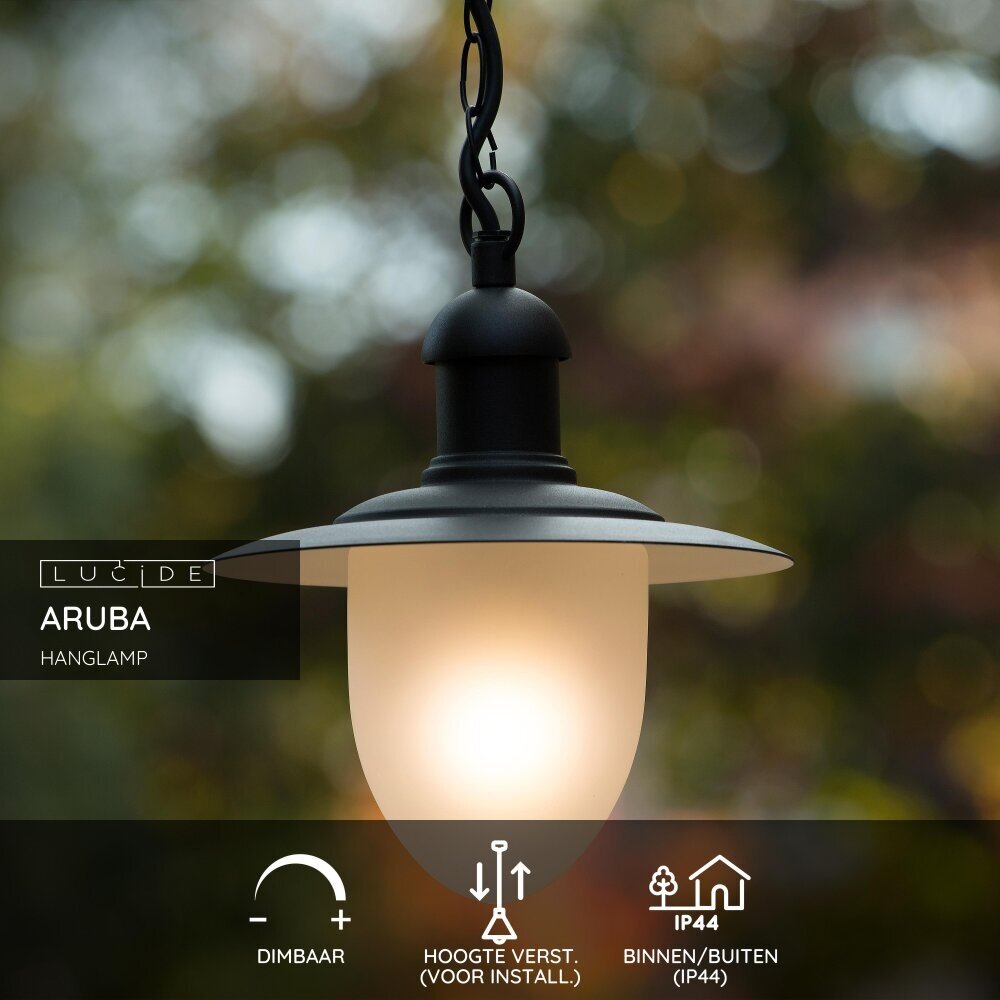 Lucide ARUBA - Hanglamp Binnen/Buiten - Ø 25 cm - 1xE27 - IP44 - Zwart