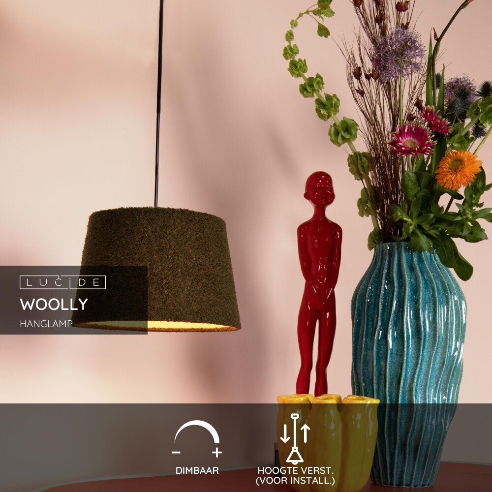 Lucide WOOLLY - Hanglamp - Ø 28 cm - 1xE27 - Groen Lucide WOOLLY - Hanglamp - Ø 28 cm - 1xE27 - Groen
