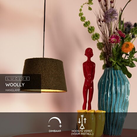 Lucide WOOLLY - Hanglamp - Ø 28 cm - 1xE27 - Groen Lucide WOOLLY - Hanglamp - Ø 28 cm - 1xE27 - Groen