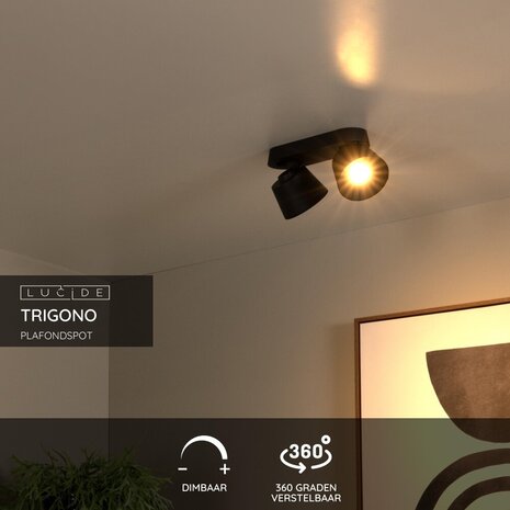 Lucide TRIGONO - Plafondspot - 2xGU10 - Zwart Lucide TRIGONO - Plafondspot - 2xGU10 - Zwart