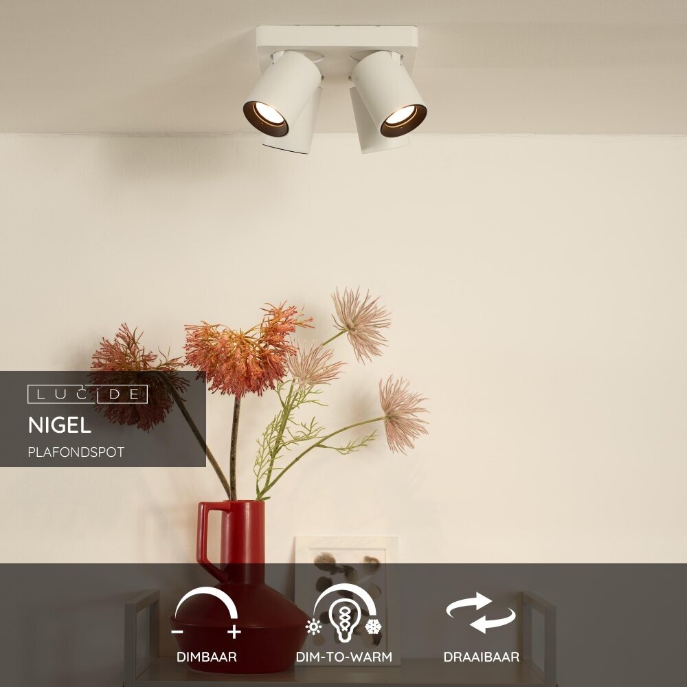Lucide NIGEL - Plafondspot - LED Dim to warm - GU10 - 4x5W 2200K/3000K - Wit