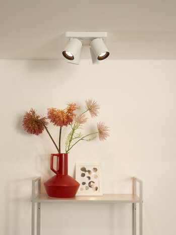 Lucide NIGEL - Plafondspot - LED Dim to warm - GU10 - 4x5W 2200K/3000K - Wit