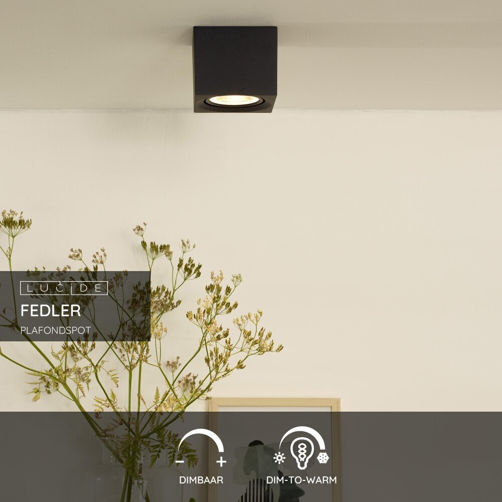 Lucide FEDLER - Plafondspot - LED Dim to warm - GU10 (ES111) - 1x12W 2200K/3000K - Zwart Lucide FEDLER - Plafondspot - LED Dim to warm - GU10 (ES111) - 1x12W 2200K/3000K - Zwart