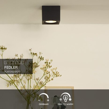 Lucide FEDLER - Plafondspot - LED Dim to warm - GU10 (ES111) - 1x12W 2200K/3000K - Zwart Lucide FEDLER - Plafondspot - LED Dim to warm - GU10 (ES111) - 1x12W 2200K/3000K - Zwart
