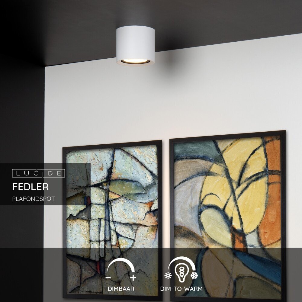 Lucide FEDLER - Plafondspot - Ø 12 cm - LED Dim to warm - GU10 (ES111) - 1x12W 2200K/3000K - Wit