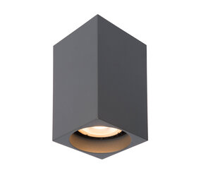 Lucide DELTO - Plafondspot - LED Dim to warm - GU10 - 1x5W 2200K/3000K - Grijs