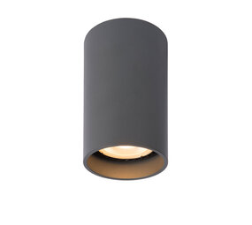 Lucide DELTO - Plafondspot - Ø 5,5 cm - LED Dim to warm - GU10 - 1x5W 2200K/3000K - Grijs