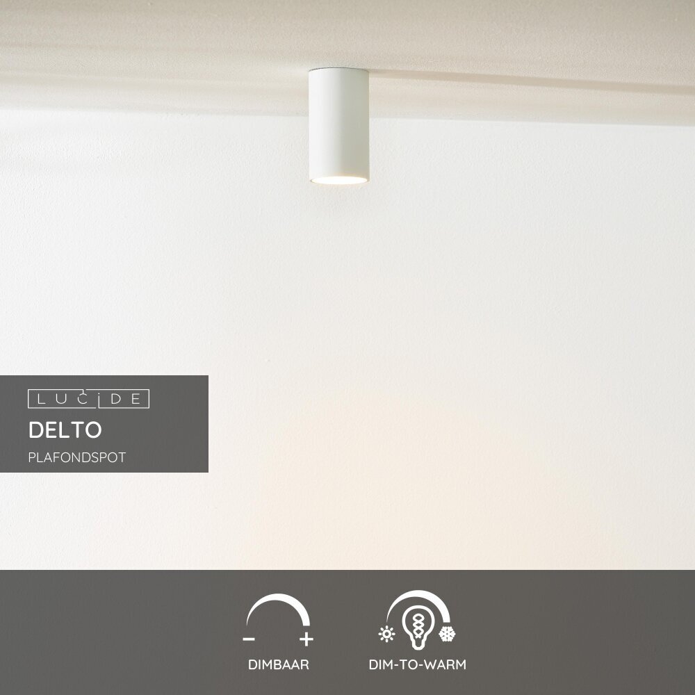Lucide DELTO - Plafondspot - Ø 5,5 cm - LED Dim to warm - GU10 - 1x5W 2200K/3000K - Wit Lucide DELTO - Plafondspot - Ø 5,5 cm - LED Dim to warm - GU10 - 1x5W 2200K/3000K - Wit